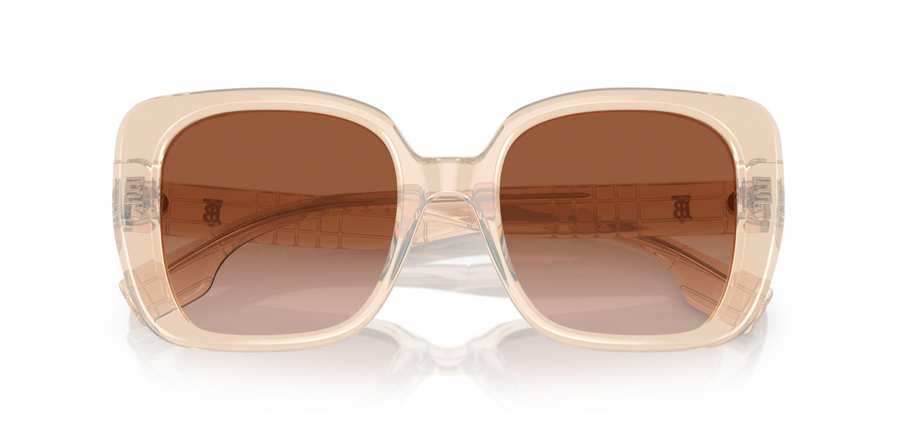 406013 - Pink - Brown Gradient