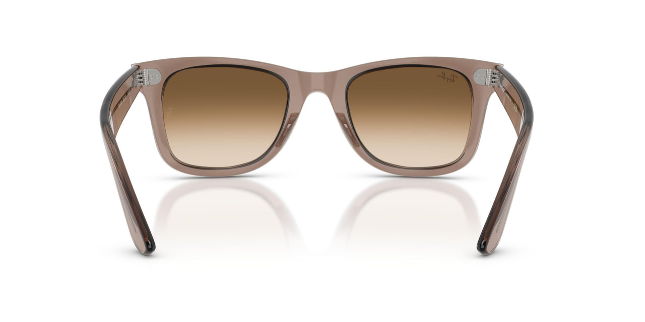682751 - Brown - Clear Gradient Brown