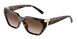 80153B - Tortoise - Brown Gradient