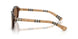 424373 - Brown - Dark Brown