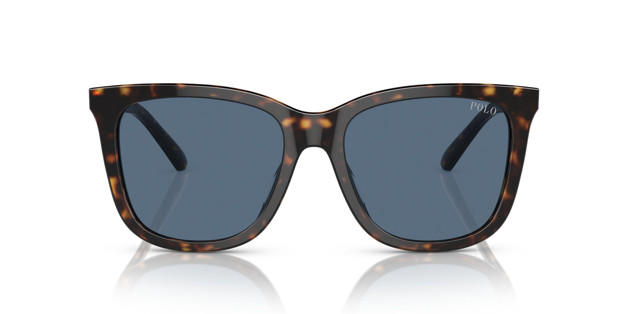 500380 - Brown - Blue