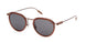 ZEGNA 0246 Sunglasses