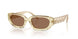 202673 - Yellow - Brown
