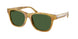 618571 - Tortoise - Bottle Green