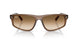 664051 - Brown - Clear Gradient Brown