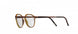 6230 - Havanna Honey