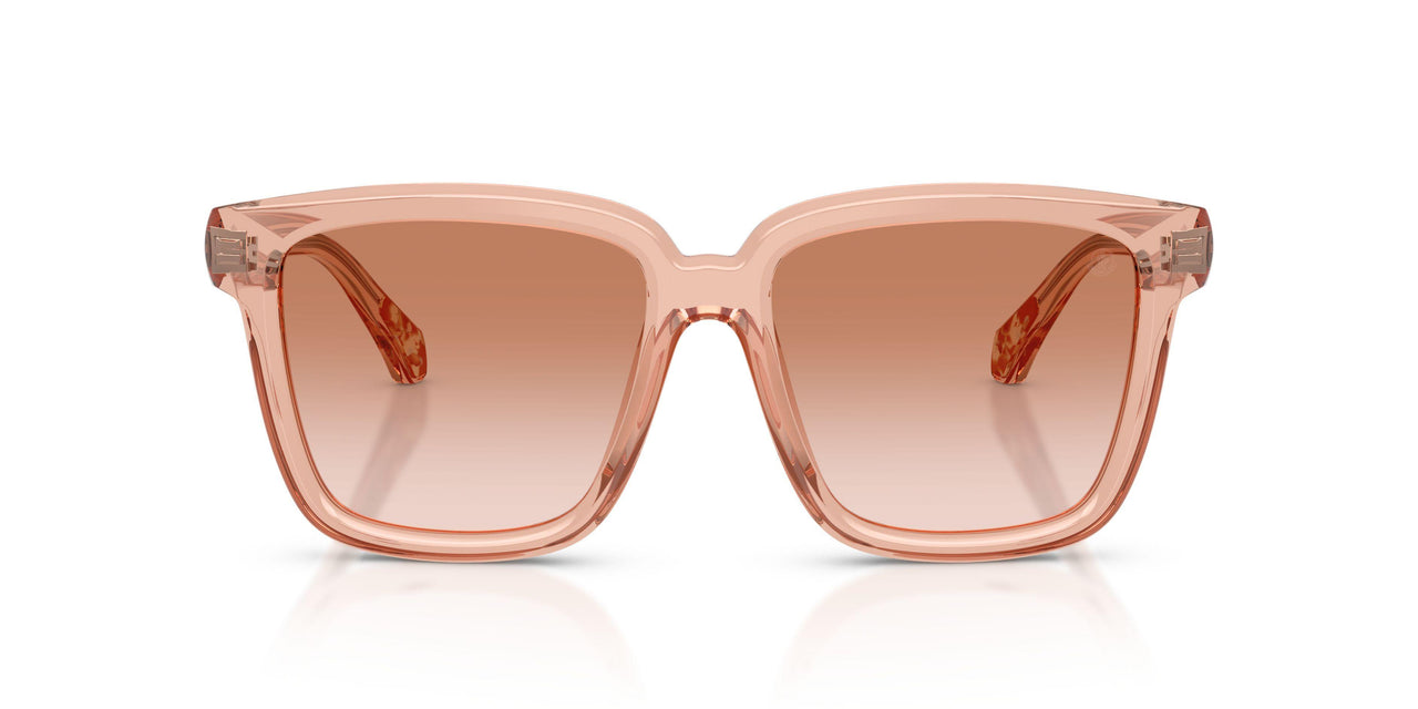 304513 - Pink - Gradient Light Brown