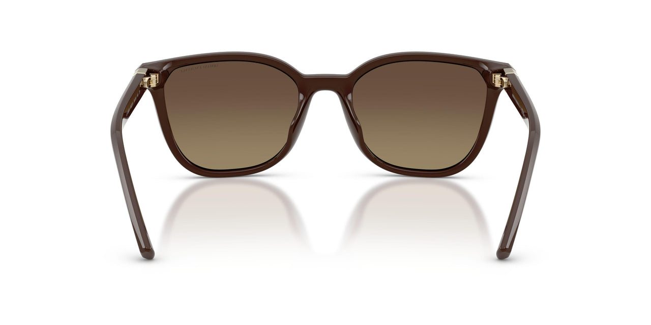 8402T5 - Brown - Yellow/brown