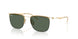 Ray-Ban 8550 Sunglasses