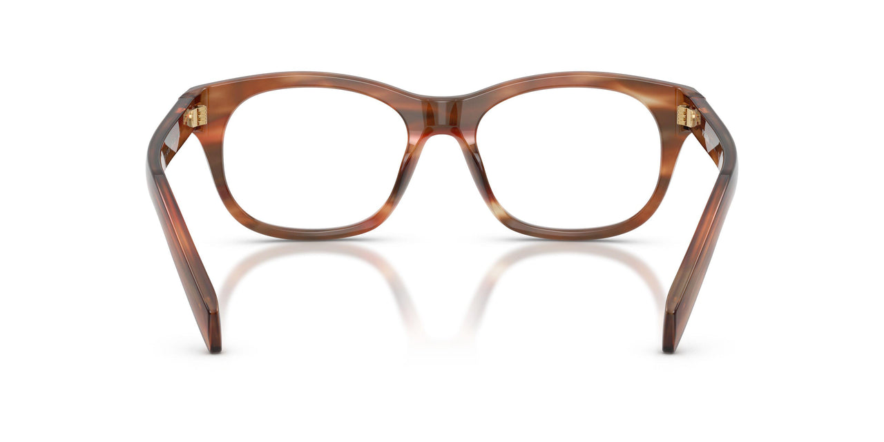 24G1O1 - Brown
