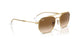 001/51 - Gold - Brown