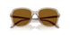 299083 - Brown - Dark Brown Polar