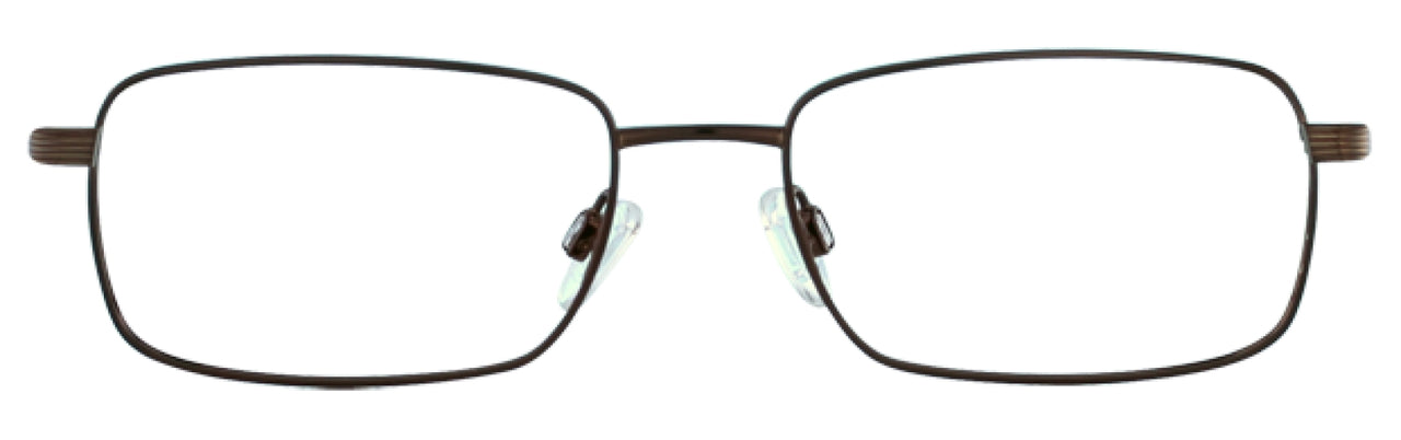 Brown - Shiny Brown
