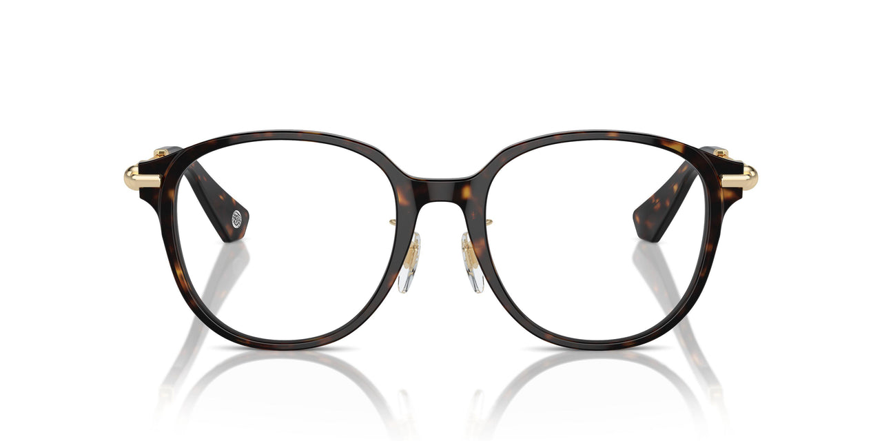3002 - Brown