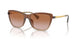 613313 - Brown - Gradient Brown