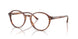 6162 - Tortoise