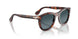 24/S3 - Tortoise - Light Blue Gradient Dark Blue