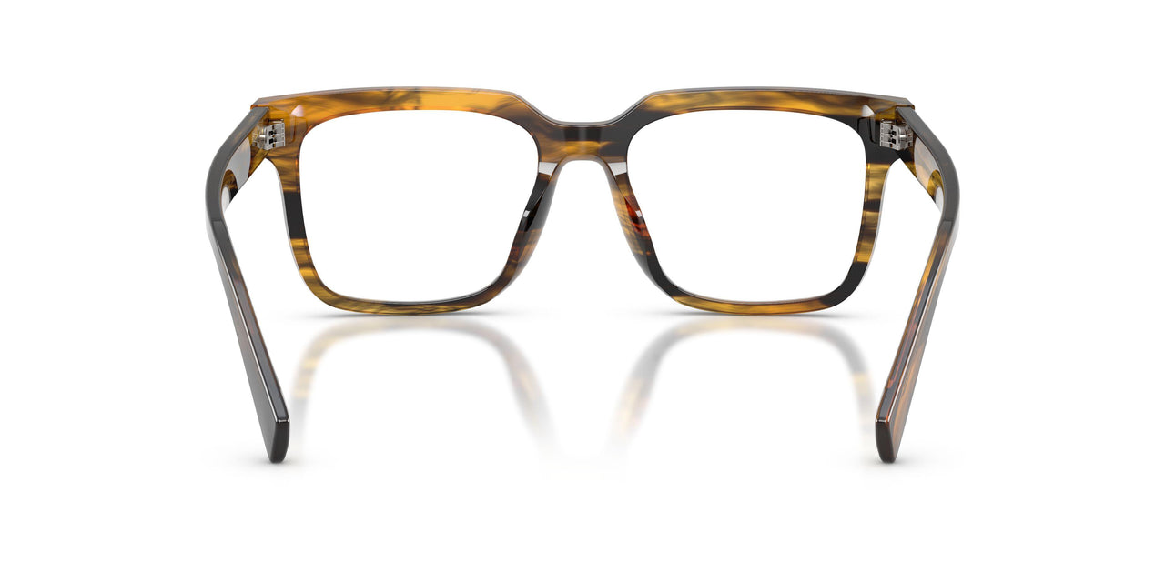 3063 - Tortoise
