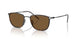 300173 - Black - Brown