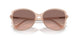 344913 - Pink - Brown Pink Gradient
