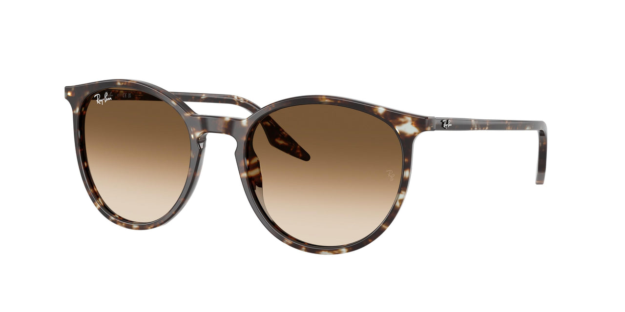 Ray-Ban 2204 Sunglasses