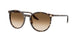 Ray-Ban 2204 Sunglasses