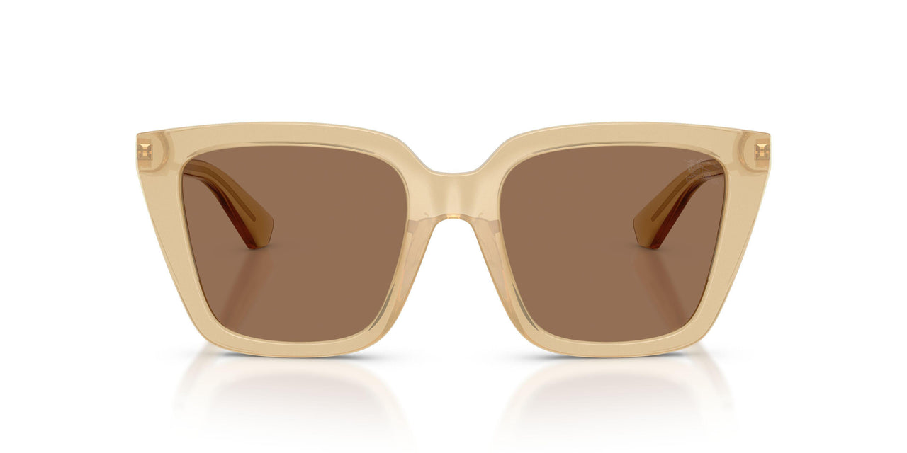 419873 - Yellow - Dark Brown