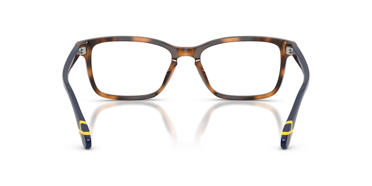 6089 - Tortoise