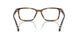 6089 - Tortoise