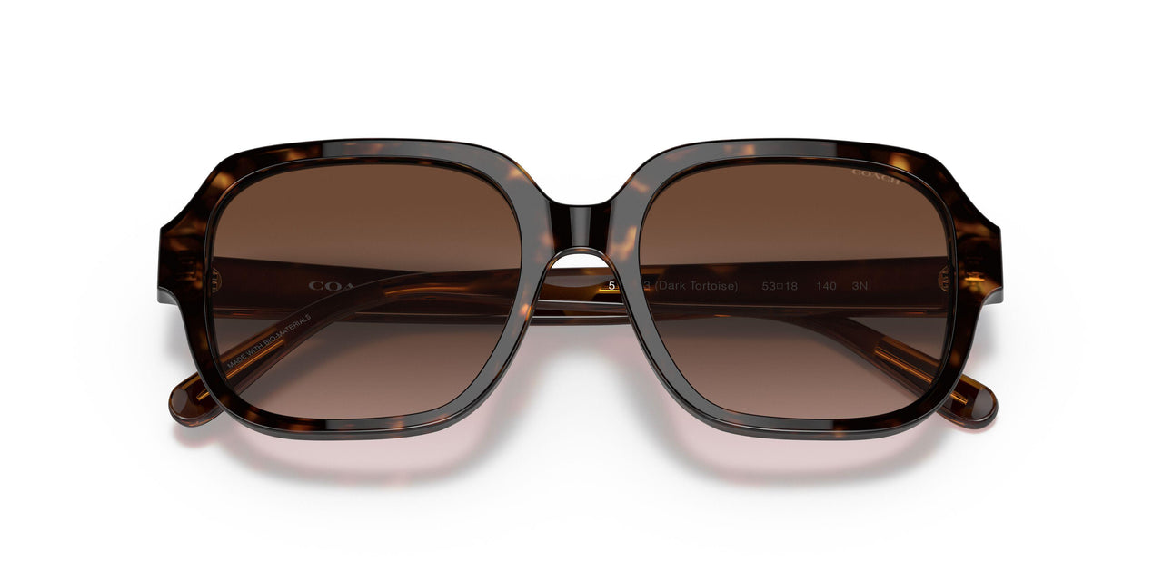 512013 - Havana - Brown Gradient