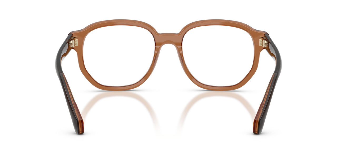 3017 - Brown