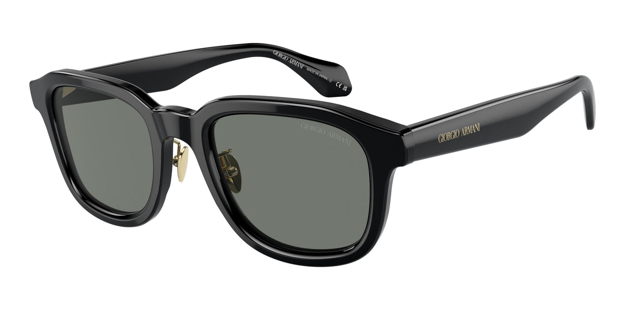 Giorgio Armani 8206 Sunglasses