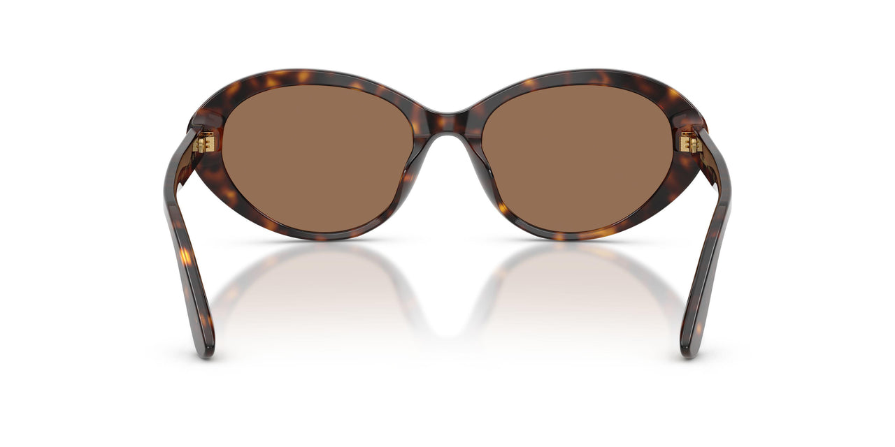 502/73 - Tortoise - Dark Brown