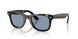 710/56 - Tortoise - Blue