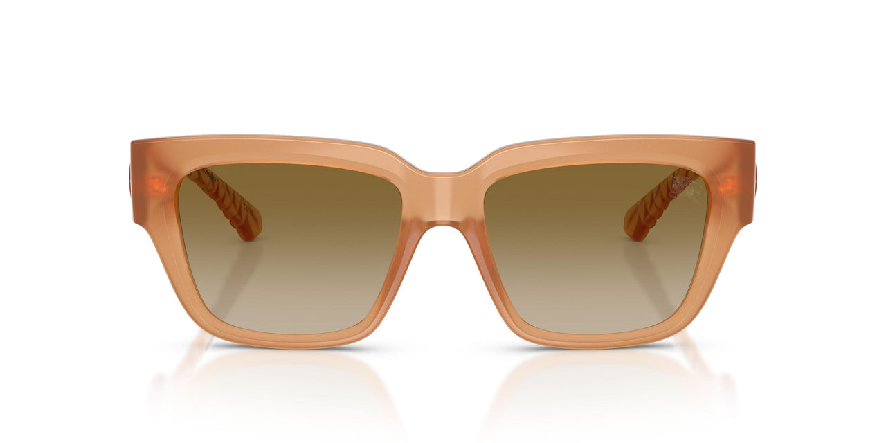 426613 - Beige - Brown Gradient