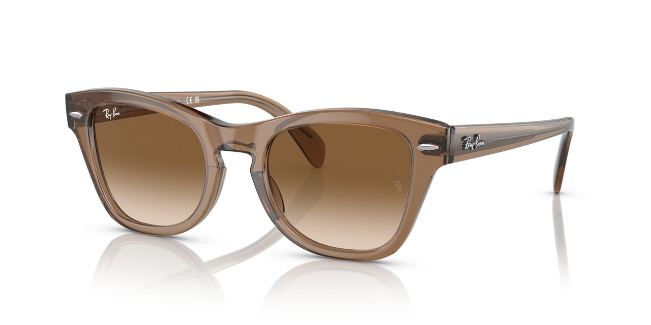 664051 - Light Brown - Clear Gradient Brown