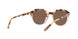 175473 - Multi - Brown Solid