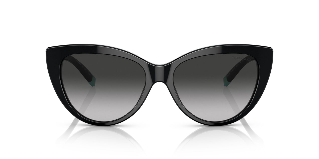 80013C - Black - Grey Gradient