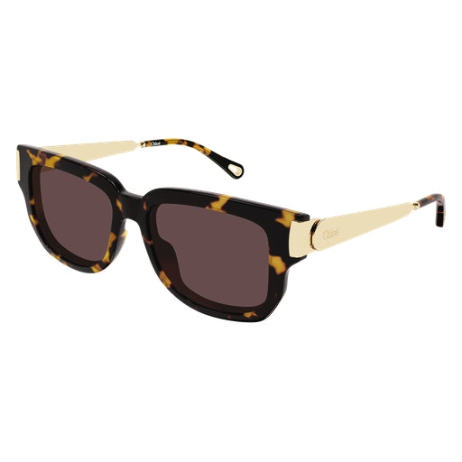 003 - Havana/Gold - Violet