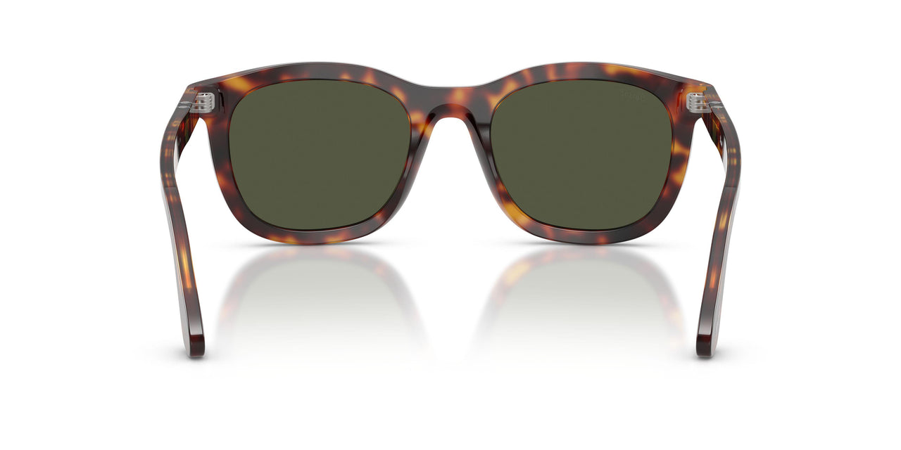 24/31 - Tortoise - Green
