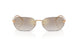 91536E - Gold - Gradient Brown Mirror Gold