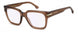 09Q13-13 - BROWN