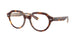 8402 - Tortoise - Clear