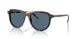 500380 - Tortoise - Dark Blue