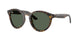 Ray-Ban R0505S Sunglasses