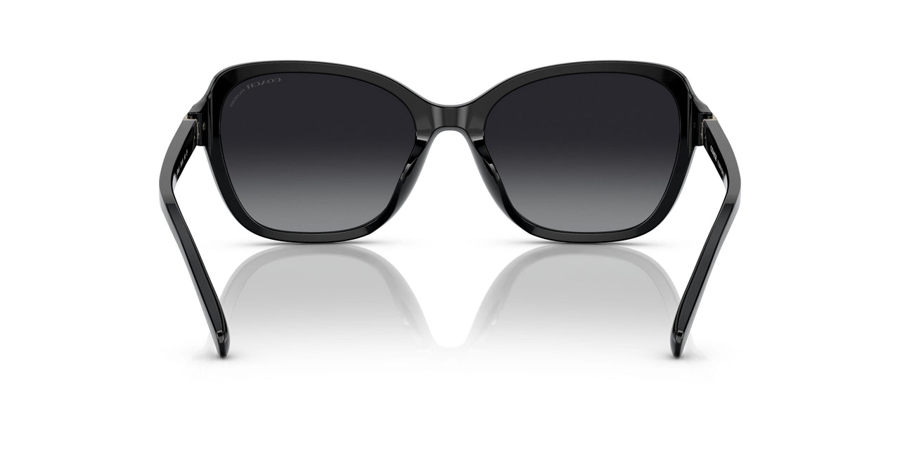 5002T3 - Black - Grey Gradient Polar