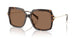 395173 - Tortoise - Brown Solid
