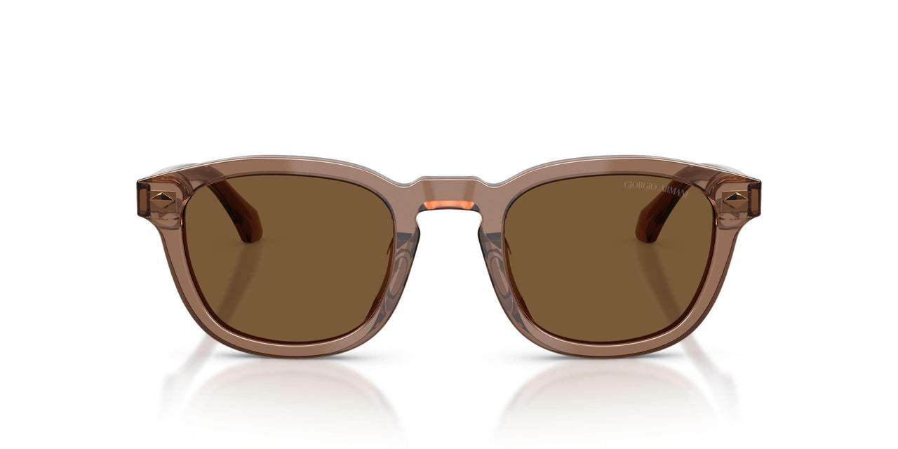 646973 - Brown - Brown