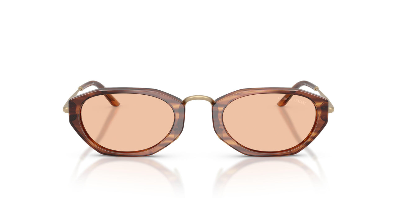 616273 - Tortoise - Light Brown