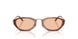 616273 - Tortoise - Light Brown
